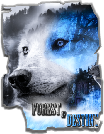 Nadruk Forest of destiny (blue) - Przód