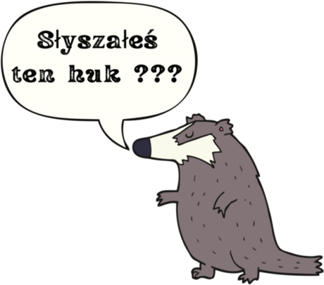 Nadruk Borsuk - słyszałeś ten huk ??? - Przód