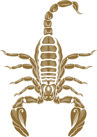 Nadruk Scorpion Gold - Black - Przód